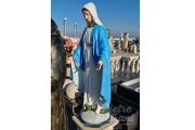 Immacolata h. 130  419,00€